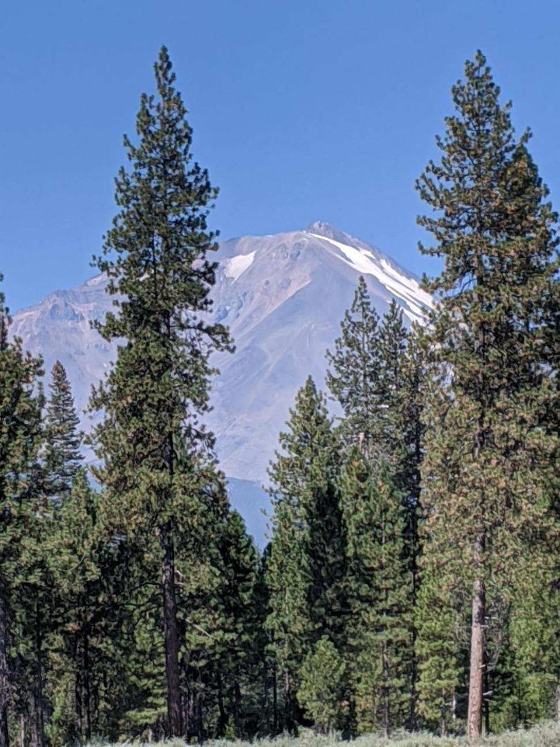 21 Ridge Drive, MCCLOUD, California 96057, ,Lots And Land,For Sale,Ridge Drive,40964003