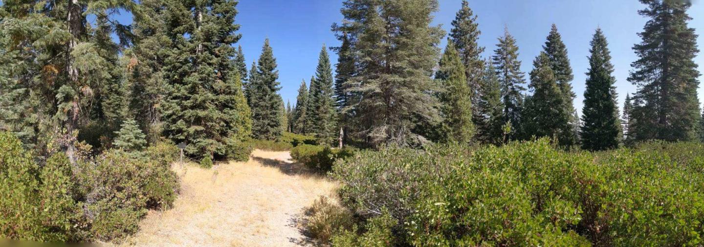 21 Ridge Drive, MCCLOUD, California 96057, ,Lots And Land,For Sale,Ridge Drive,40964003
