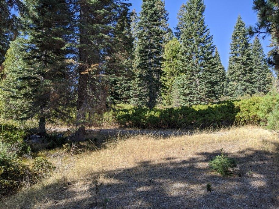 21 Ridge Drive, MCCLOUD, California 96057, ,Lots And Land,For Sale,Ridge Drive,40964003