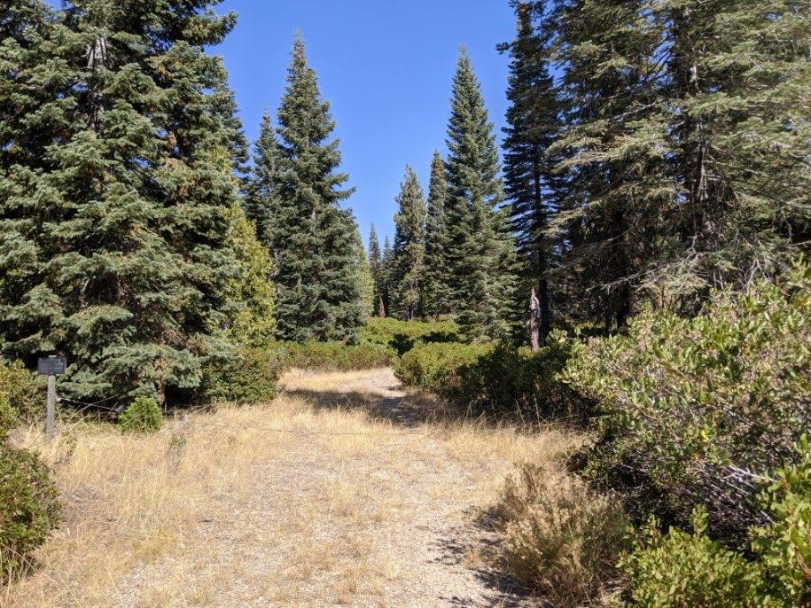 21 Ridge Drive, MCCLOUD, California 96057, ,Lots And Land,For Sale,Ridge Drive,40964003