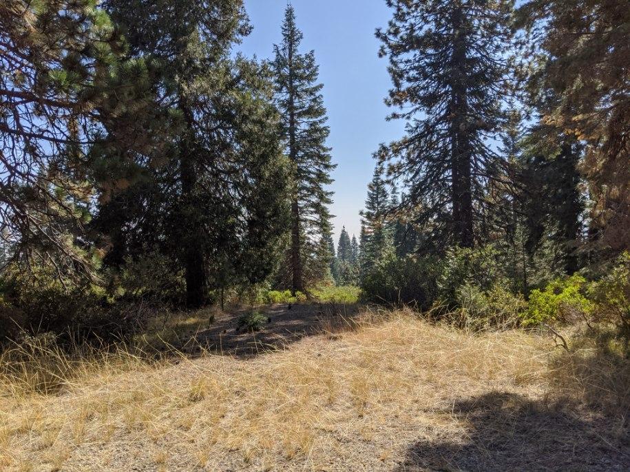 21 Ridge Drive, MCCLOUD, California 96057, ,Lots And Land,For Sale,Ridge Drive,40964003