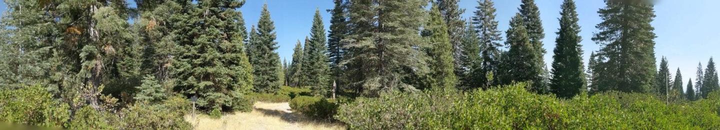 21 Ridge Drive, MCCLOUD, California 96057, ,Lots And Land,For Sale,Ridge Drive,40964003