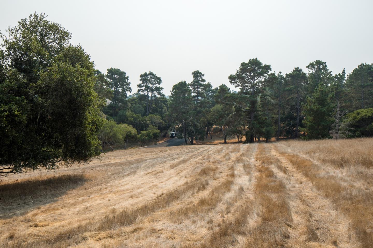 24254 Via Malpaso, MONTEREY, California 93940, ,Lots And Land,For Sale,Via Malpaso,40963849