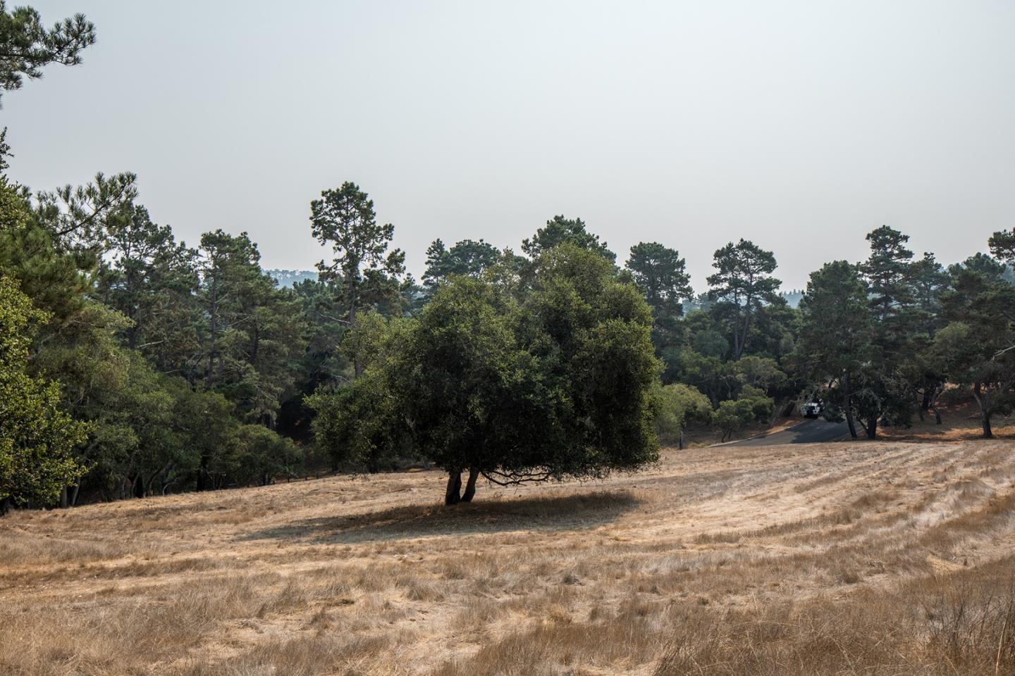 24254 Via Malpaso, MONTEREY, California 93940, ,Lots And Land,For Sale,Via Malpaso,40963849