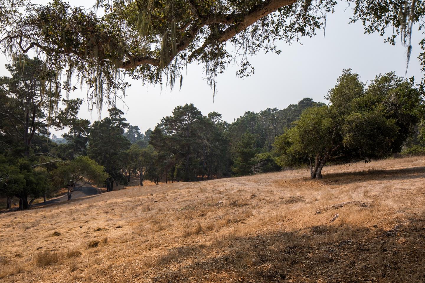 24254 Via Malpaso, MONTEREY, California 93940, ,Lots And Land,For Sale,Via Malpaso,40963849