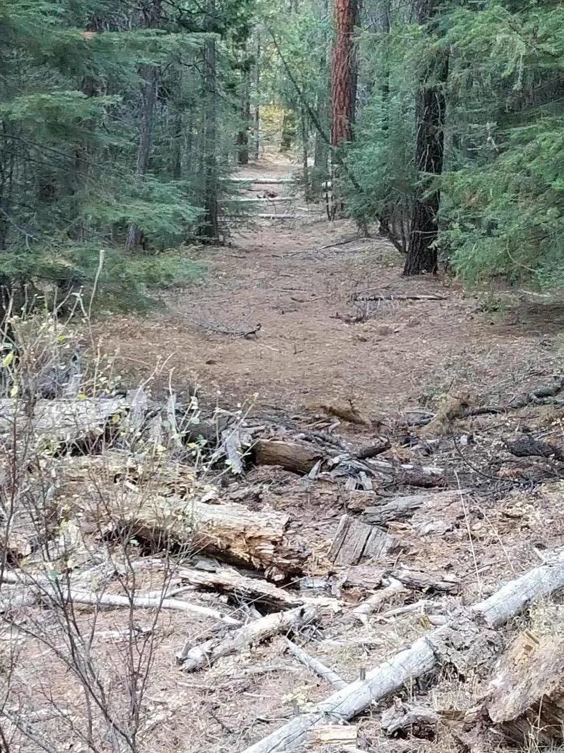 970 24n15x, QUINCY, California 95971, ,Lots And Land,For Sale,24n15x,40962093