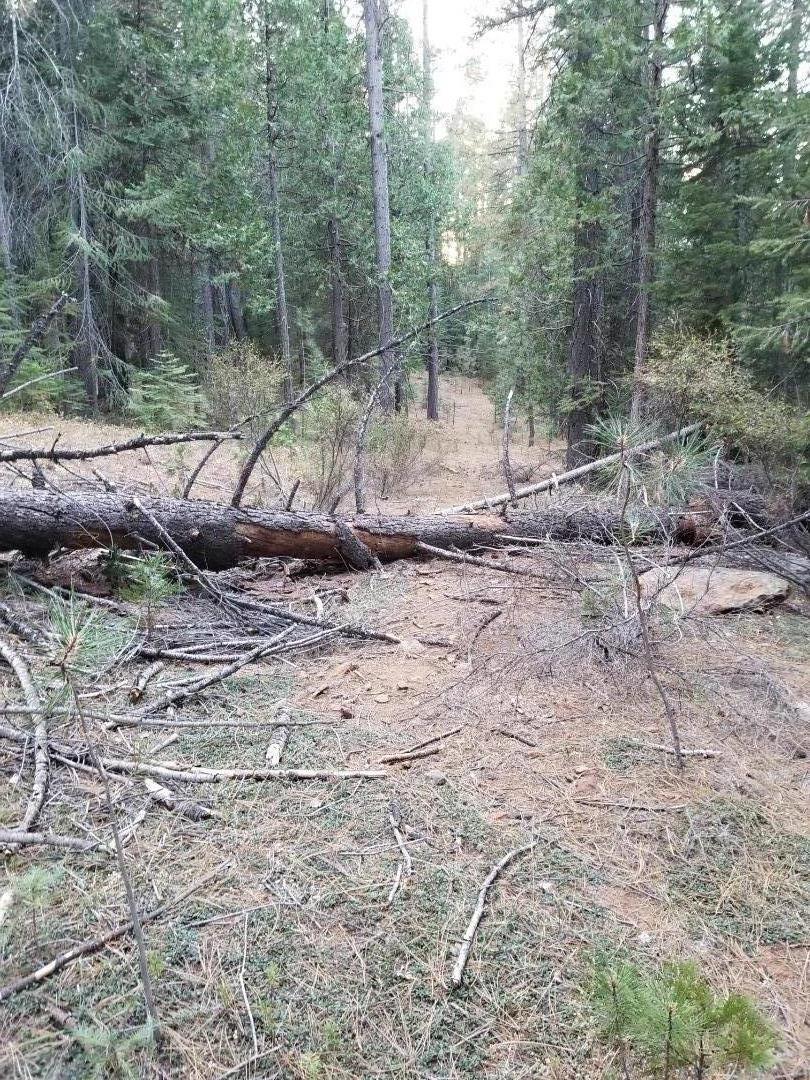 970 24n15x, QUINCY, California 95971, ,Lots And Land,For Sale,24n15x,40962093