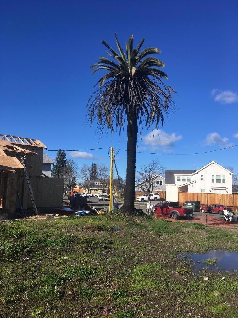 2018 Camino Del Prado, SANTA ROSA, California 95403, ,Lots And Land,For Sale,Camino Del Prado,40963300