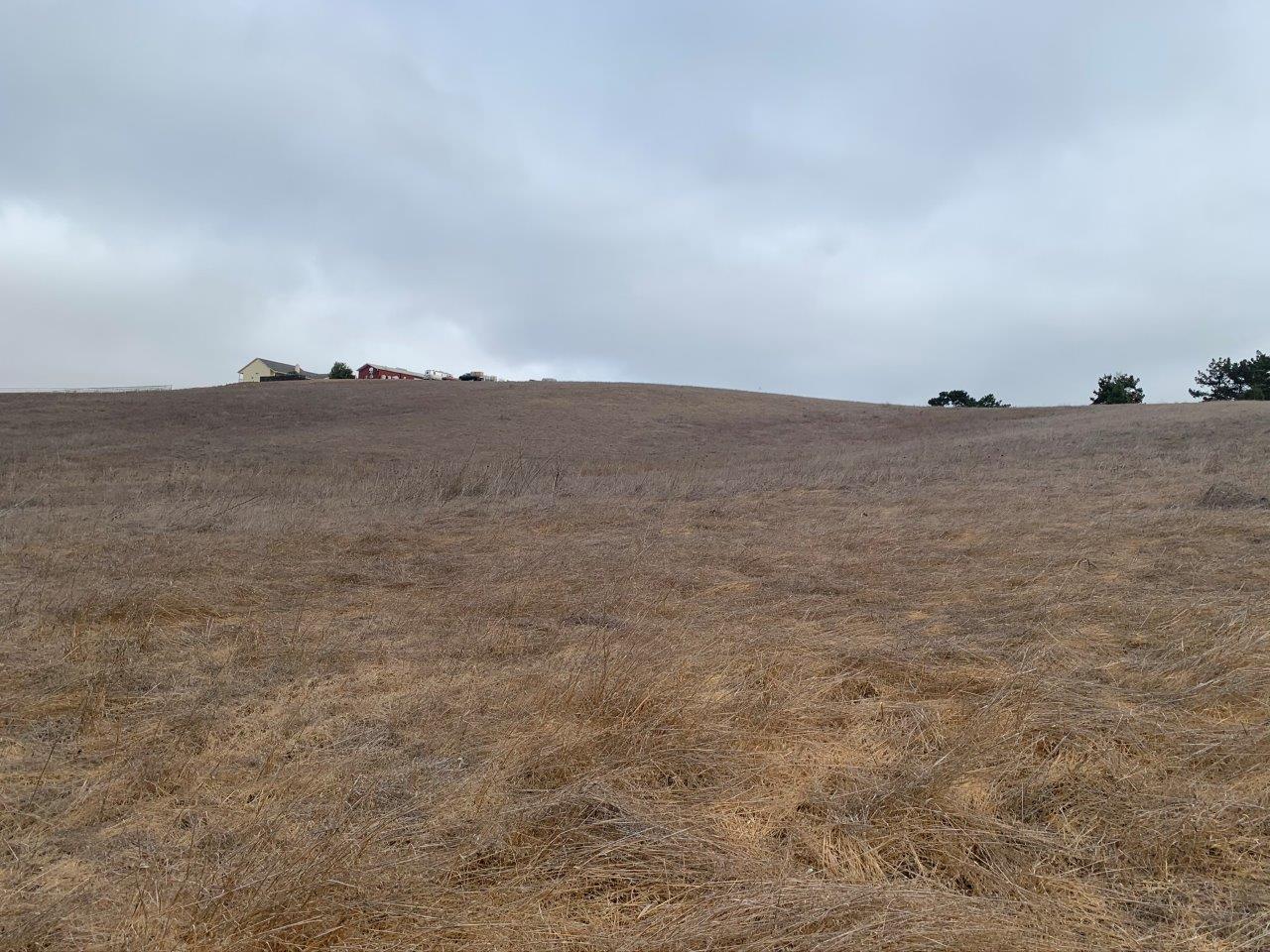 0 Union Road, HOLLISTER, California 95023, ,Lots And Land,For Sale,Union Road,40963034