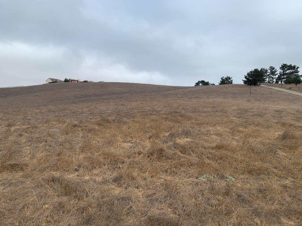 0 Union Road, HOLLISTER, California 95023, ,Lots And Land,For Sale,Union Road,40963034