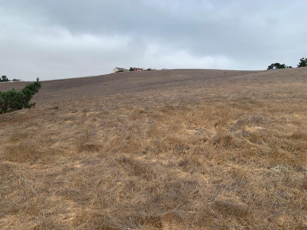 0 Union Road, HOLLISTER, California 95023, ,Lots And Land,For Sale,Union Road,40963034