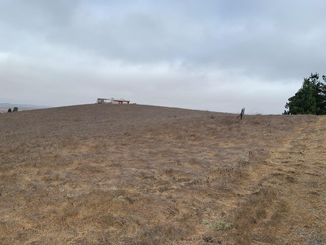 0 Union Road, HOLLISTER, California 95023, ,Lots And Land,For Sale,Union Road,40963034