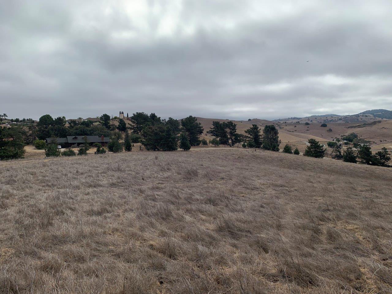 0 Union Road, HOLLISTER, California 95023, ,Lots And Land,For Sale,Union Road,40963034