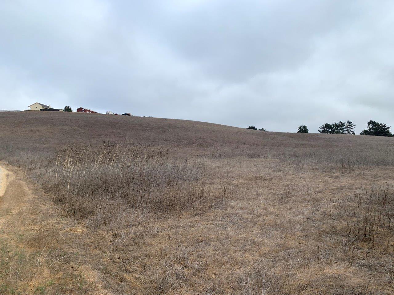 0 Union Road, HOLLISTER, California 95023, ,Lots And Land,For Sale,Union Road,40963034