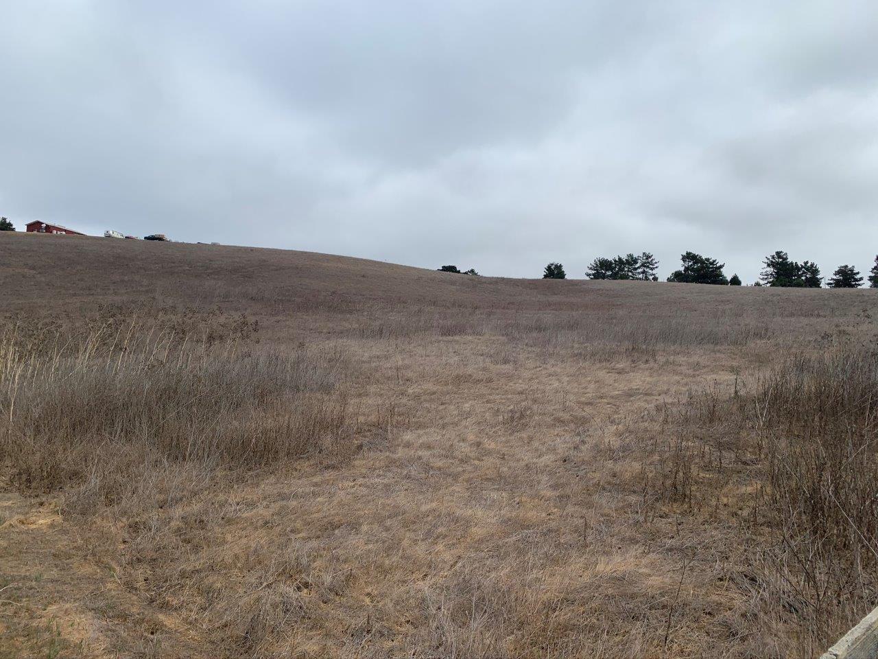 0 Union Road, HOLLISTER, California 95023, ,Lots And Land,For Sale,Union Road,40963034