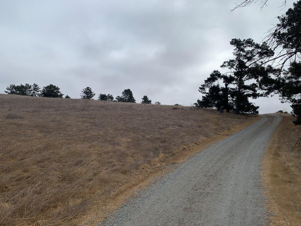 0 Union Road, HOLLISTER, California 95023, ,Lots And Land,For Sale,Union Road,40963034