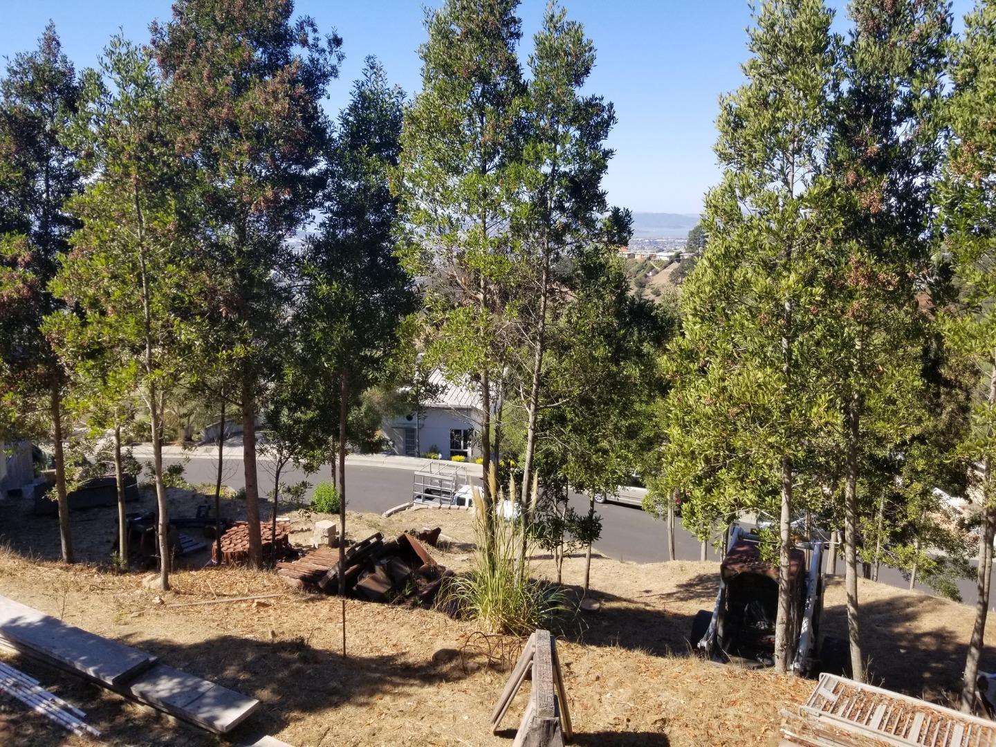 1550 Regency Court, EL CERRITO, California 94530, ,Lots And Land,For Sale,Regency Court,40961955