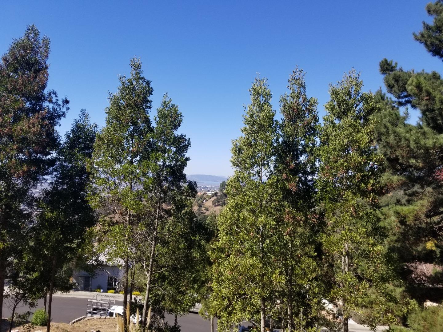 1550 Regency Court, EL CERRITO, California 94530, ,Lots And Land,For Sale,Regency Court,40961955