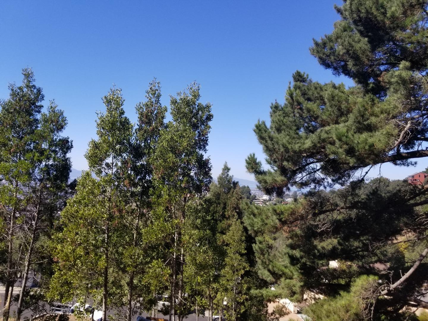 1550 Regency Court, EL CERRITO, California 94530, ,Lots And Land,For Sale,Regency Court,40961955