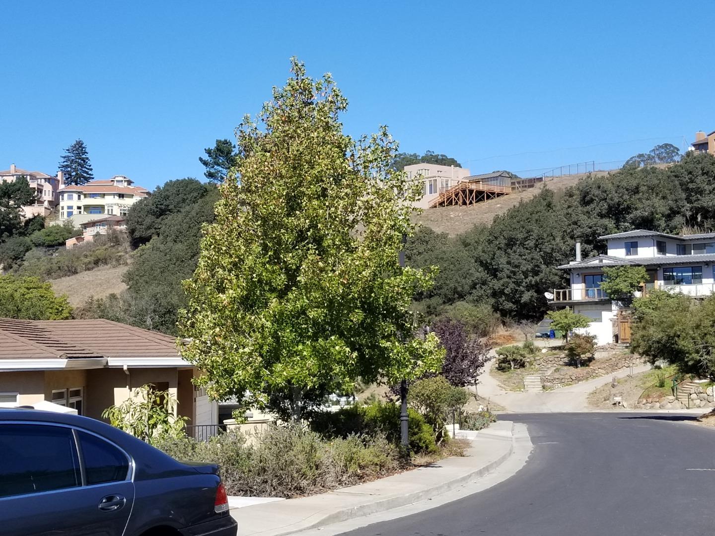 1550 Regency Court, EL CERRITO, California 94530, ,Lots And Land,For Sale,Regency Court,40961955