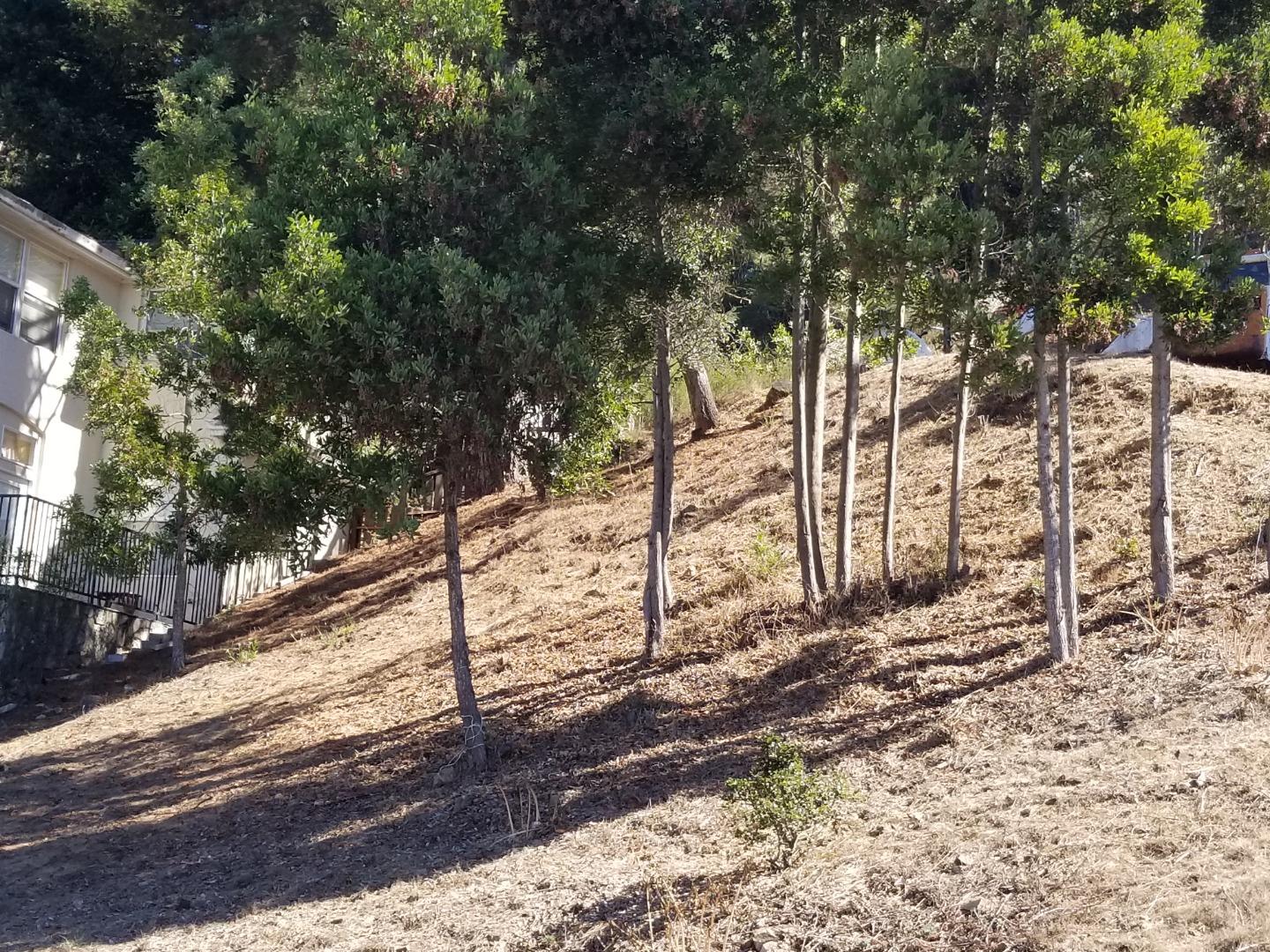 1550 Regency Court, EL CERRITO, California 94530, ,Lots And Land,For Sale,Regency Court,40961955