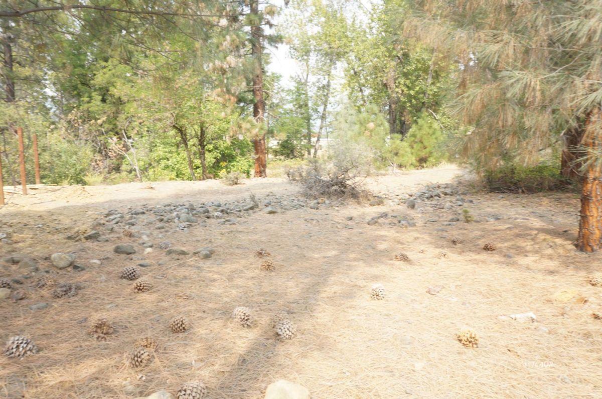 80 Masonic Lane, WEAVERVILLE, California 96093, ,Comm Lots And Land,For Sale,Masonic Lane,40962474
