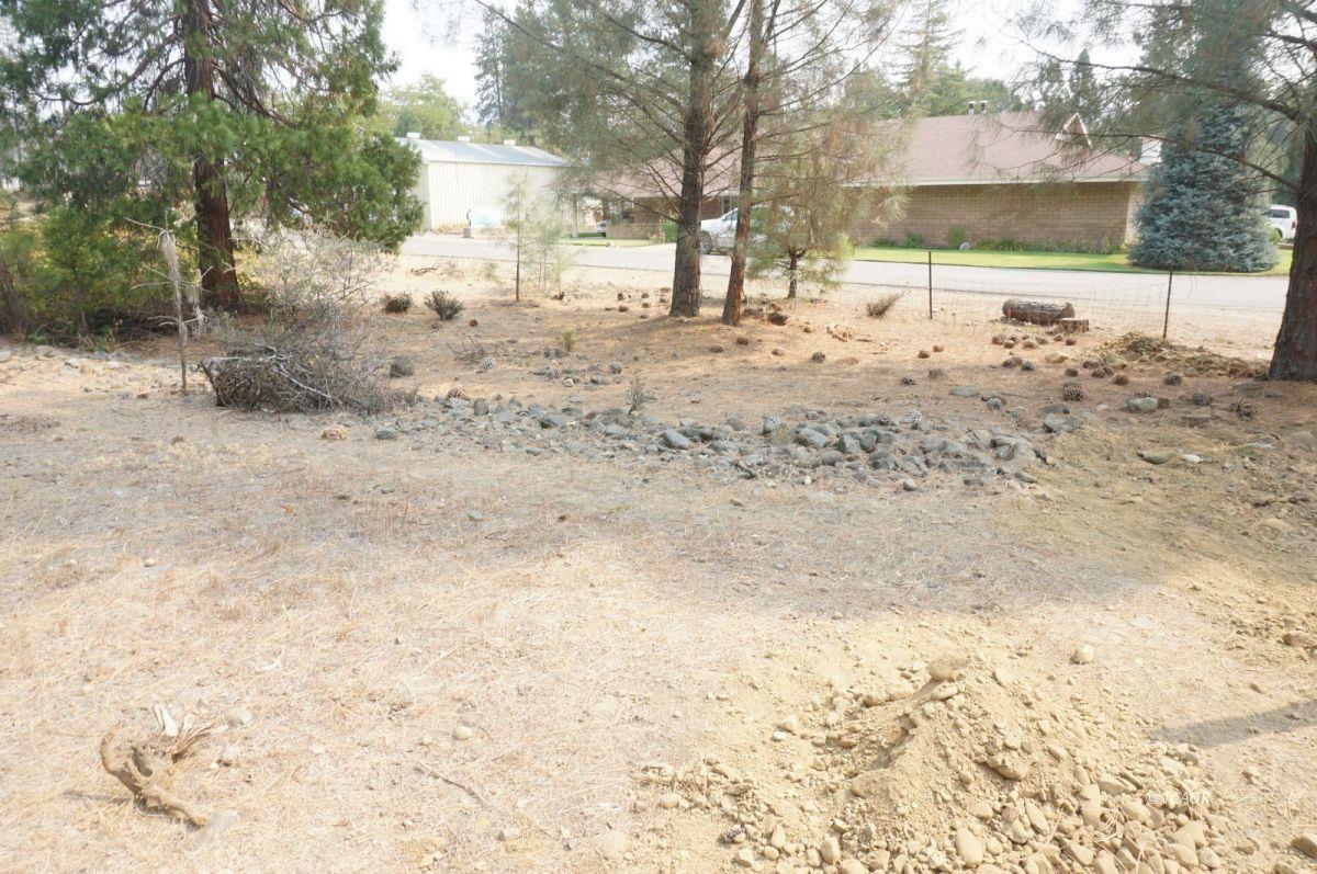 80 Masonic Lane, WEAVERVILLE, California 96093, ,Comm Lots And Land,For Sale,Masonic Lane,40962474
