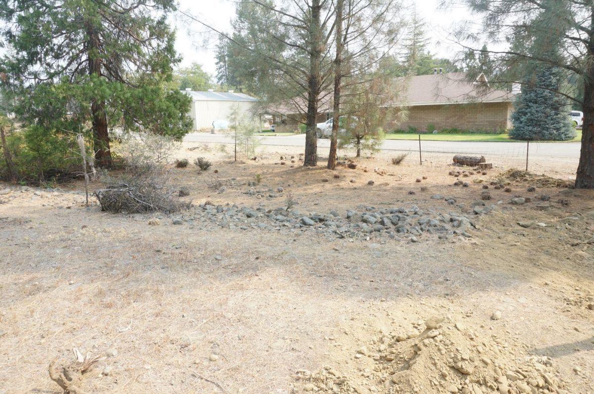 80 Masonic Lane, WEAVERVILLE, California 96093, ,Comm Lots And Land,For Sale,Masonic Lane,40962474