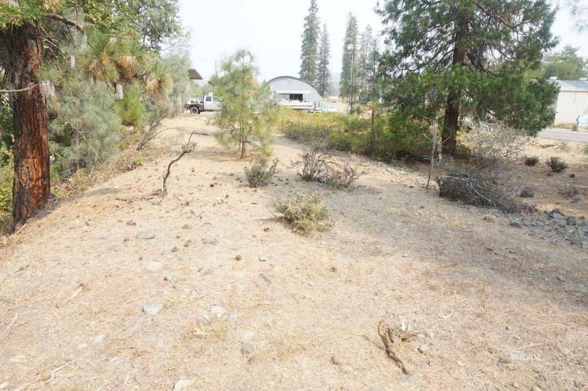 80 Masonic Lane, WEAVERVILLE, California 96093, ,Comm Lots And Land,For Sale,Masonic Lane,40962474