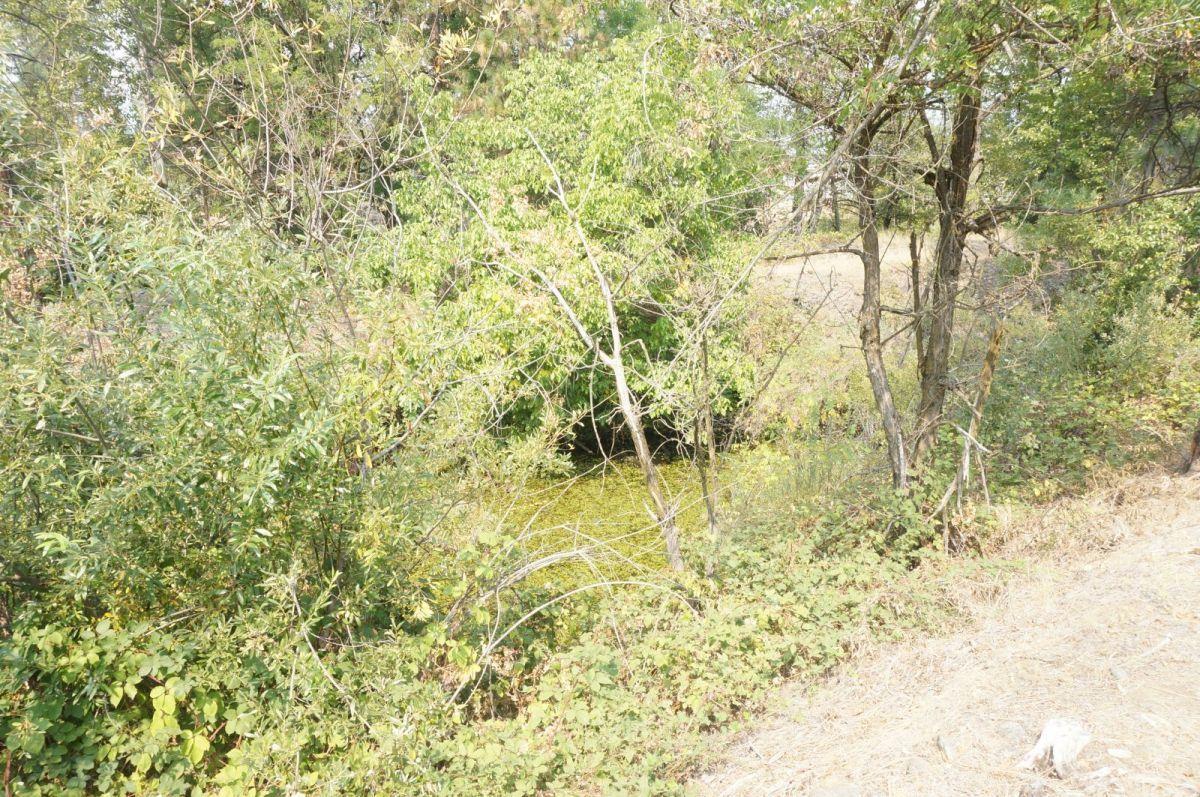 80 Masonic Lane, WEAVERVILLE, California 96093, ,Comm Lots And Land,For Sale,Masonic Lane,40962474