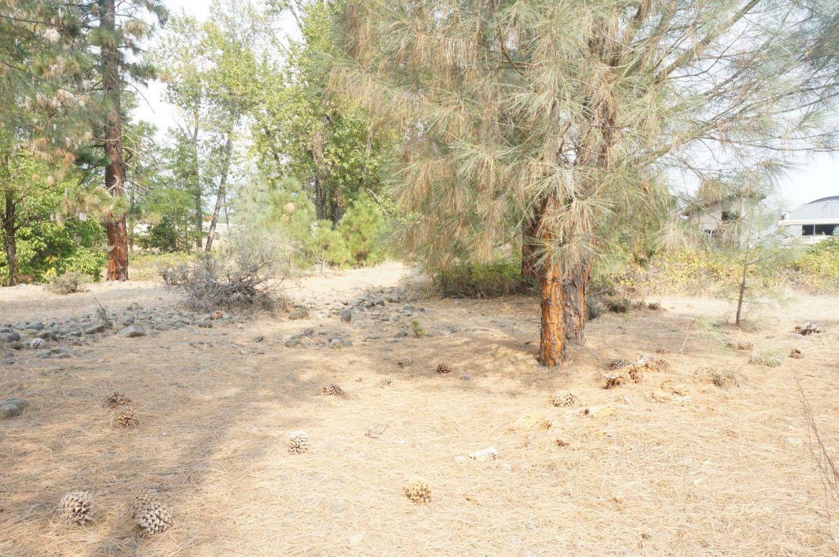 80 Masonic Lane, WEAVERVILLE, California 96093, ,Comm Lots And Land,For Sale,Masonic Lane,40962474