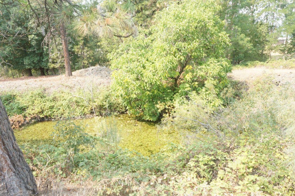 80 Masonic Lane, WEAVERVILLE, California 96093, ,Comm Lots And Land,For Sale,Masonic Lane,40962474