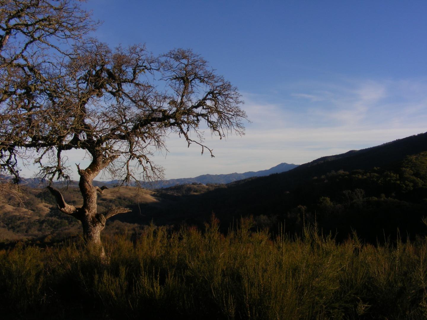 23850 Lambert Flat Road, CARMEL VALLEY, California 93924, ,Lots And Land,For Sale,Lambert Flat Road,40964082