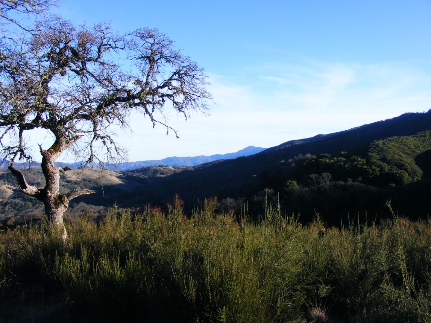 23850 Lambert Flat Road, CARMEL VALLEY, California 93924, ,Lots And Land,For Sale,Lambert Flat Road,40964082