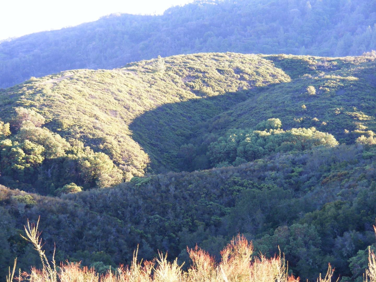 23850 Lambert Flat Road, CARMEL VALLEY, California 93924, ,Lots And Land,For Sale,Lambert Flat Road,40964082