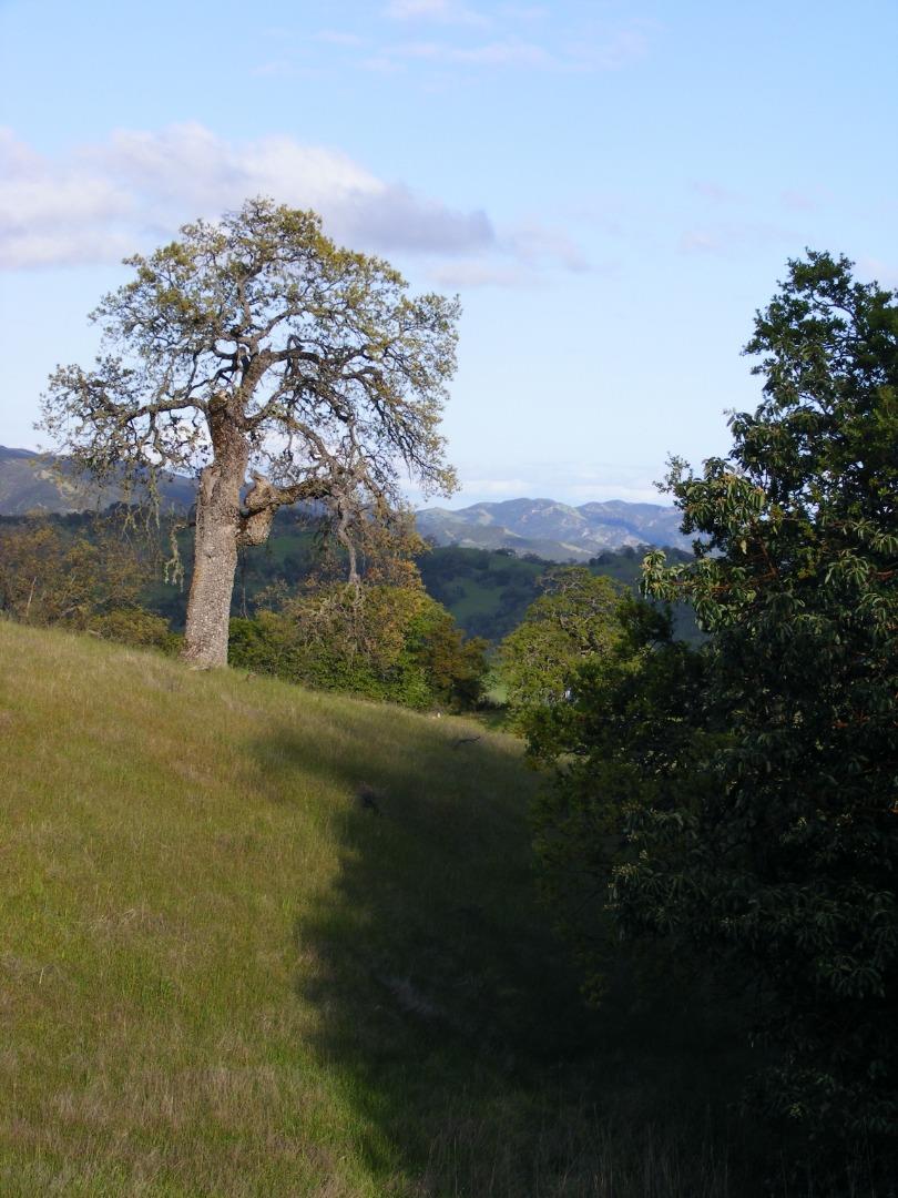 23850 Lambert Flat Road, CARMEL VALLEY, California 93924, ,Lots And Land,For Sale,Lambert Flat Road,40964082