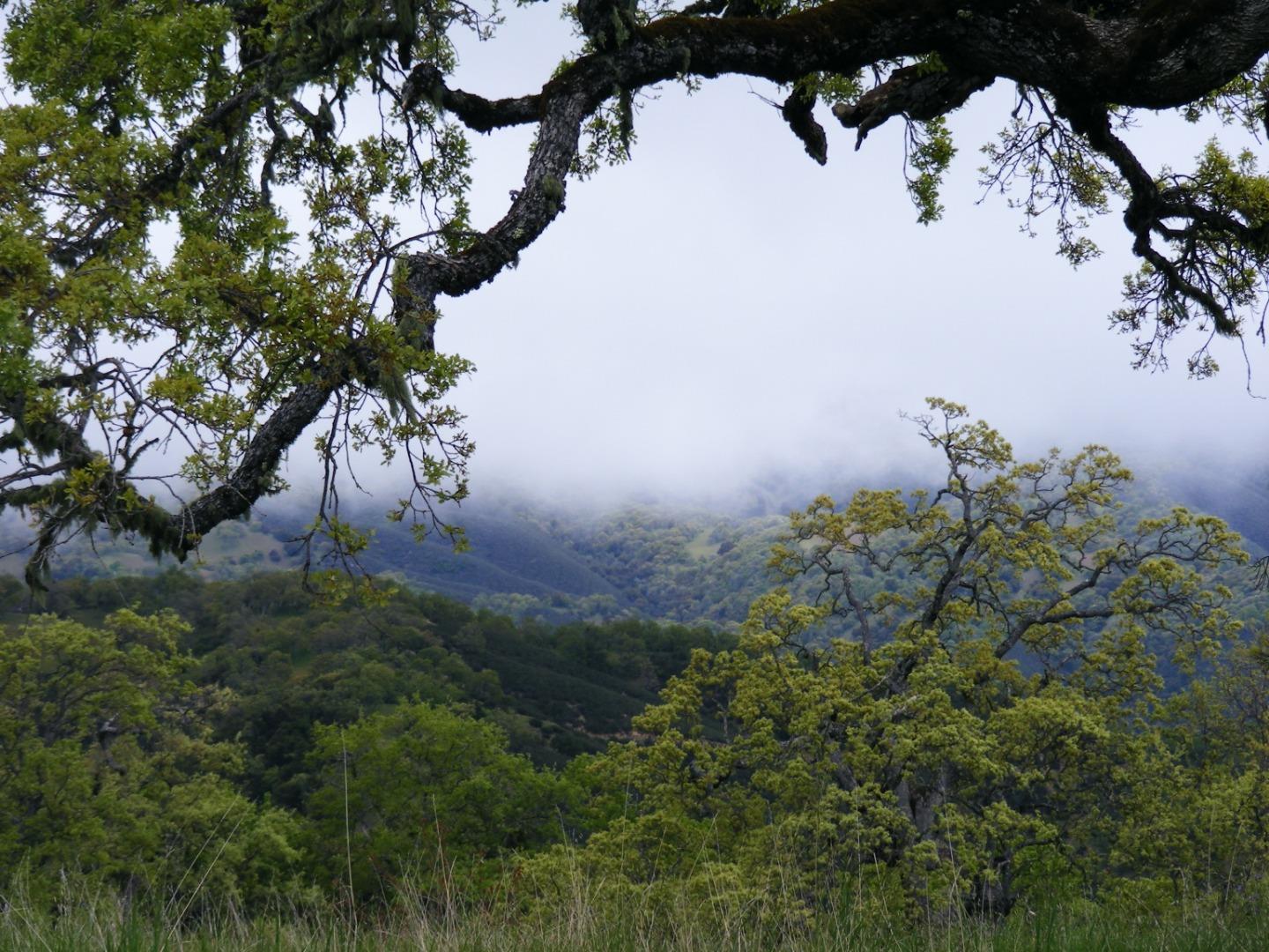 23850 Lambert Flat Road, CARMEL VALLEY, California 93924, ,Lots And Land,For Sale,Lambert Flat Road,40964082