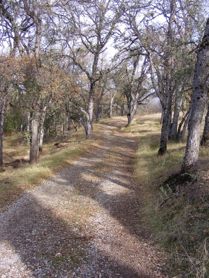 23850 Lambert Flat Road, CARMEL VALLEY, California 93924, ,Lots And Land,For Sale,Lambert Flat Road,40964082