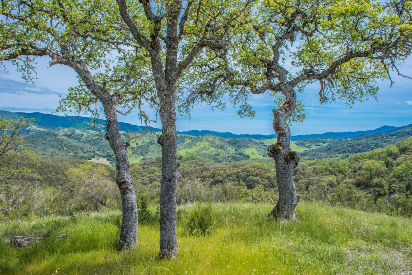 23850 Lambert Flat Road, CARMEL VALLEY, California 93924, ,Lots And Land,For Sale,Lambert Flat Road,40964082