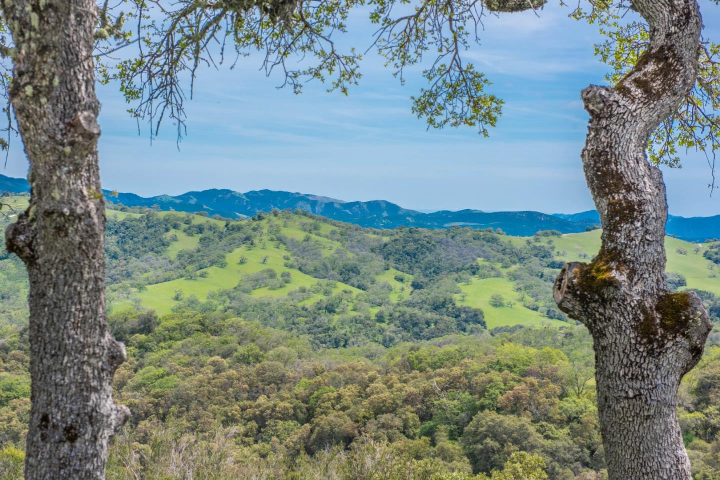 23850 Lambert Flat Road, CARMEL VALLEY, California 93924, ,Lots And Land,For Sale,Lambert Flat Road,40964082