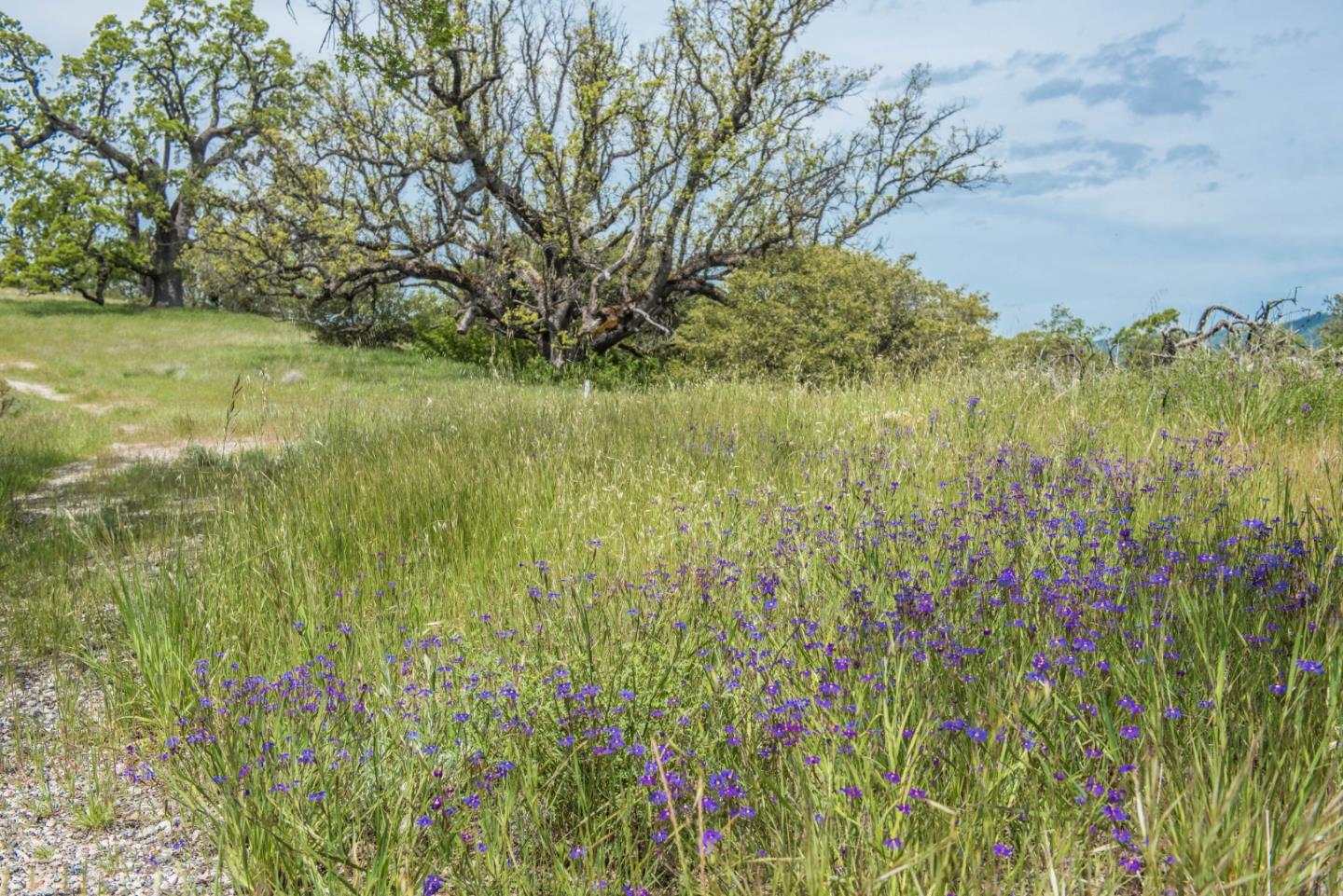 23850 Lambert Flat Road, CARMEL VALLEY, California 93924, ,Lots And Land,For Sale,Lambert Flat Road,40964082
