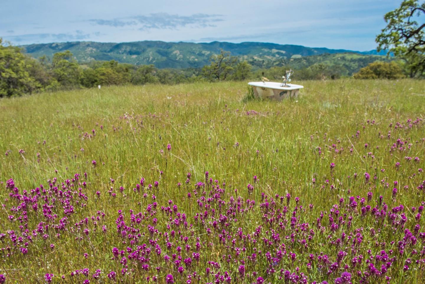 23850 Lambert Flat Road, CARMEL VALLEY, California 93924, ,Lots And Land,For Sale,Lambert Flat Road,40964082