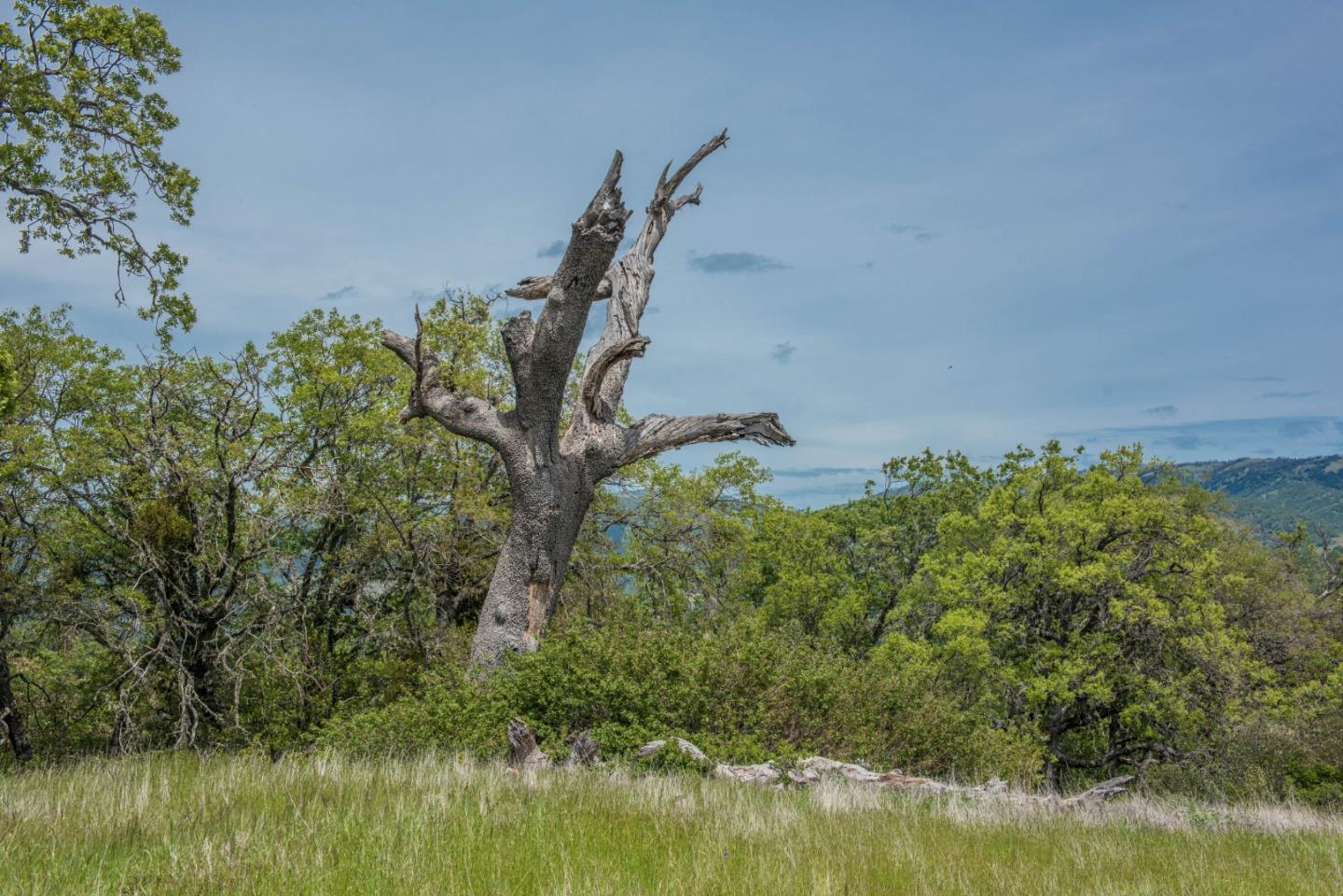 23850 Lambert Flat Road, CARMEL VALLEY, California 93924, ,Lots And Land,For Sale,Lambert Flat Road,40964082