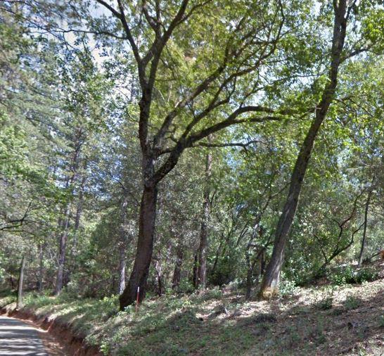 0 W Clinton Road, JACKSON, California 95642, ,Lots And Land,For Sale,W Clinton Road,40963291
