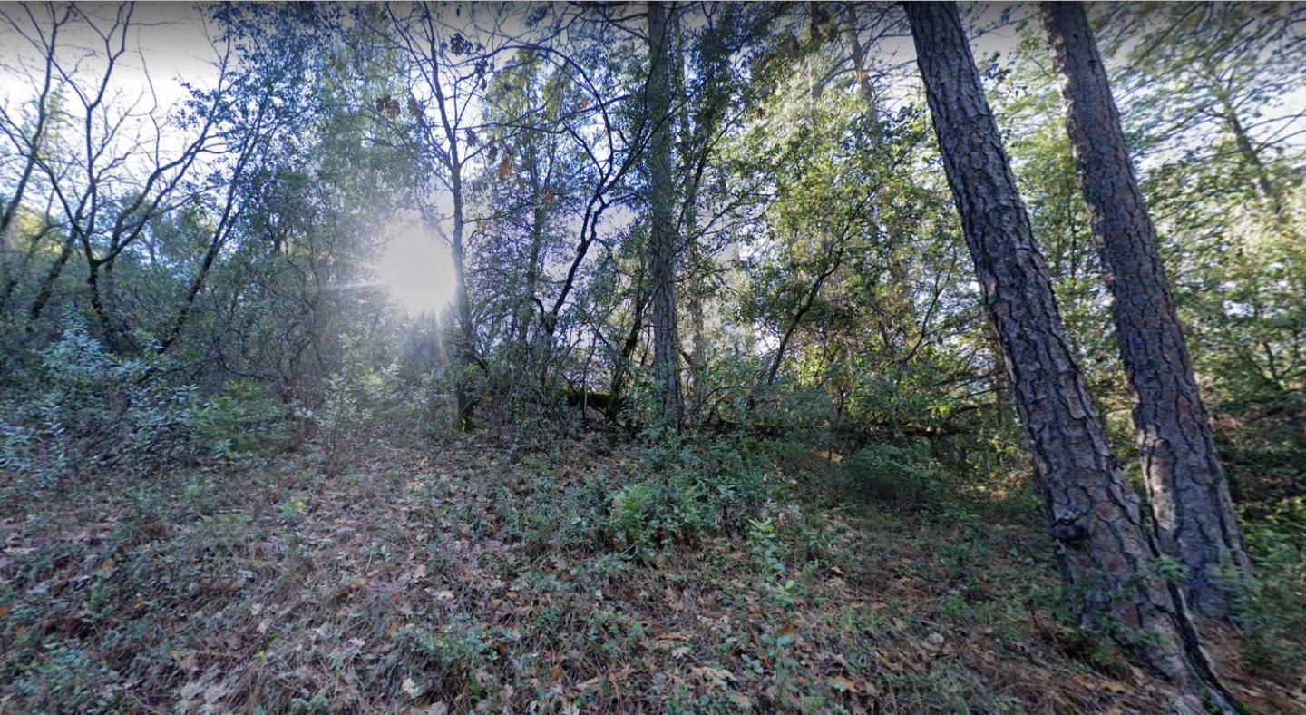 0 W Clinton Road, JACKSON, California 95642, ,Lots And Land,For Sale,W Clinton Road,40963291