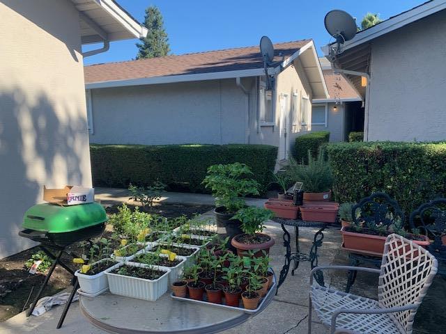 464 Bryan Avenue, SUNNYVALE, California 94086, ,Comm Ri Multi-units 5+,For Sale,Bryan Avenue,ML81816957