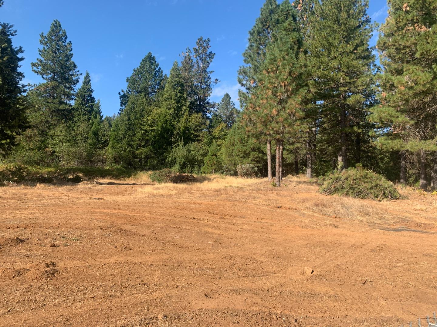 13451 Colfax Highway, GRASS VALLEY, California 95945, ,Comm Industrial For Sale,For Sale,Colfax Highway,40962184