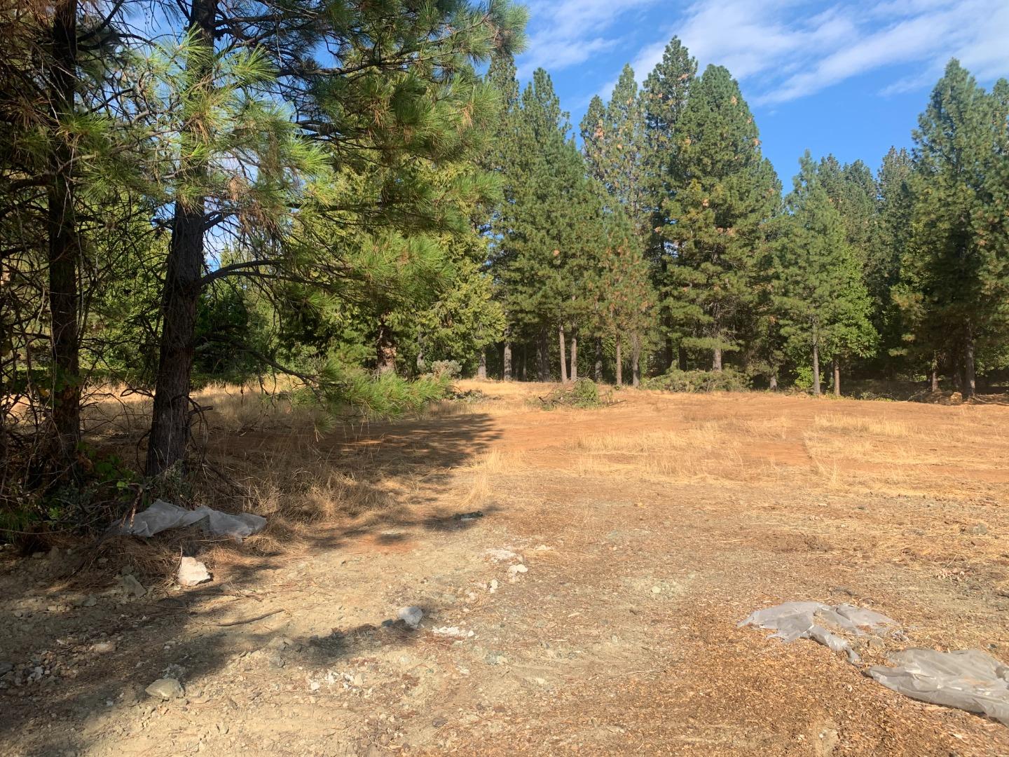 13451 Colfax Highway, GRASS VALLEY, California 95945, ,Comm Industrial For Sale,For Sale,Colfax Highway,40962184