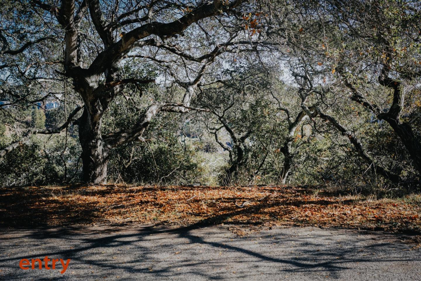 0 Lower Lock/Marburger, BELMONT, California 94002, ,Lots And Land,For Sale,Lower Lock/Marburger,40963575