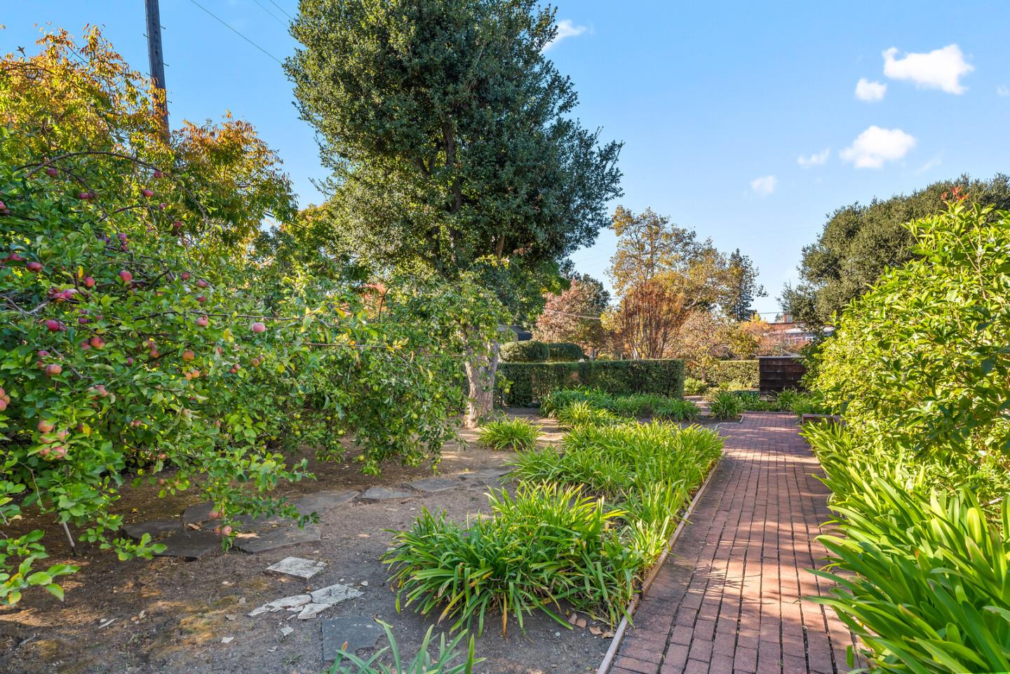 1201 Bryant Street, PALO ALTO, California 94301, ,Lots And Land,For Sale,Bryant Street,40964203